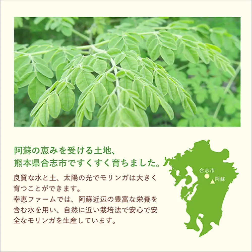 幸恵ファーム 赤と緑の野菜入り モリンガ なめらかパウダー 10個入 モリンガ[AYAB067]