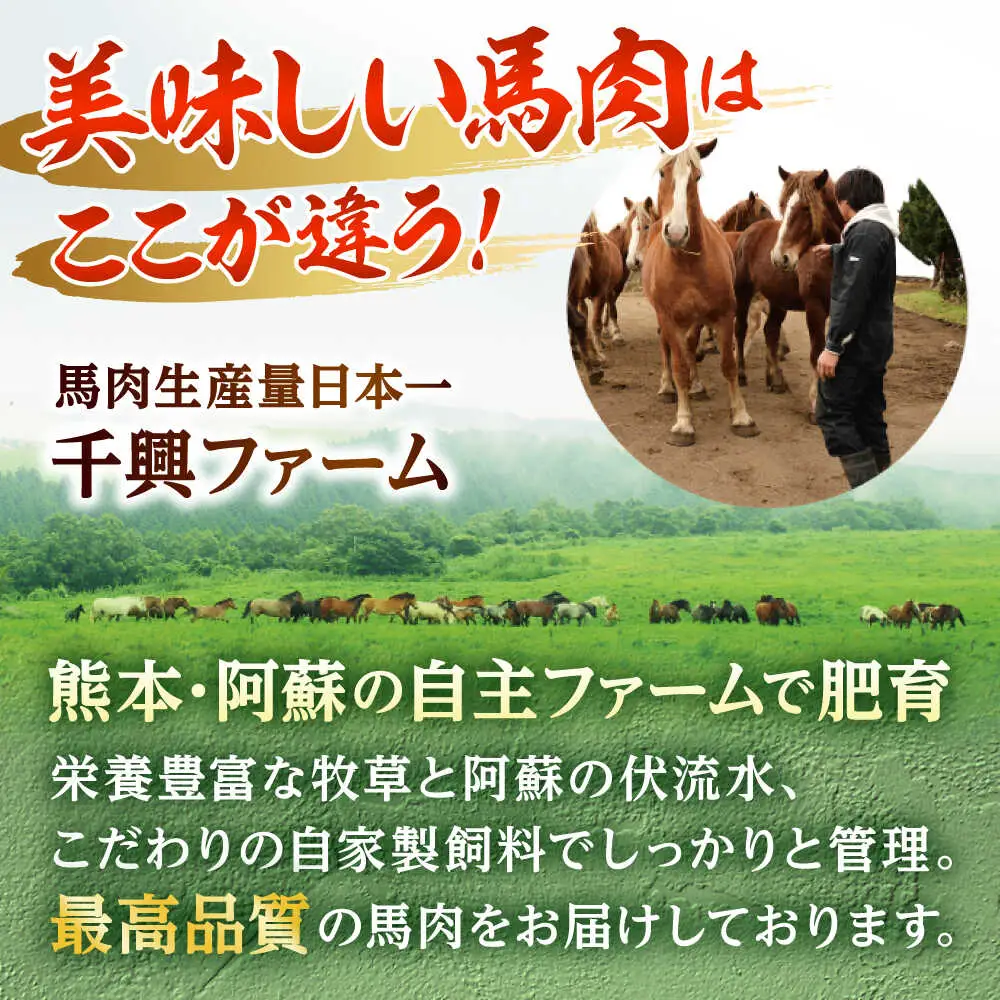 令和8年熊本地震復興支援 馬刺し桜うまトロ 計約720g 馬刺し[AYAF030]
