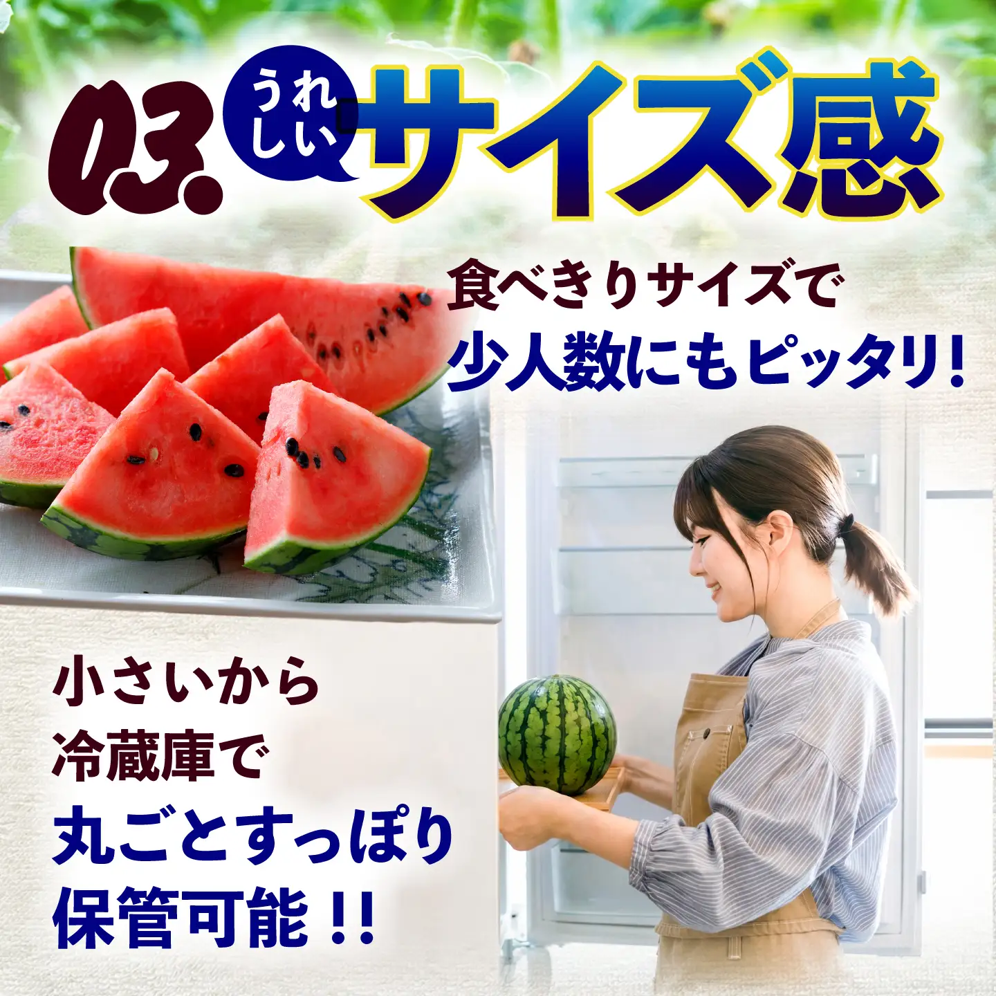 令和8年熊本地震復興支援 先行予約2027年5月下旬より発送 小玉スイカ秀品2玉計約2kg~3kg数量限定スイカすいかAYAT008