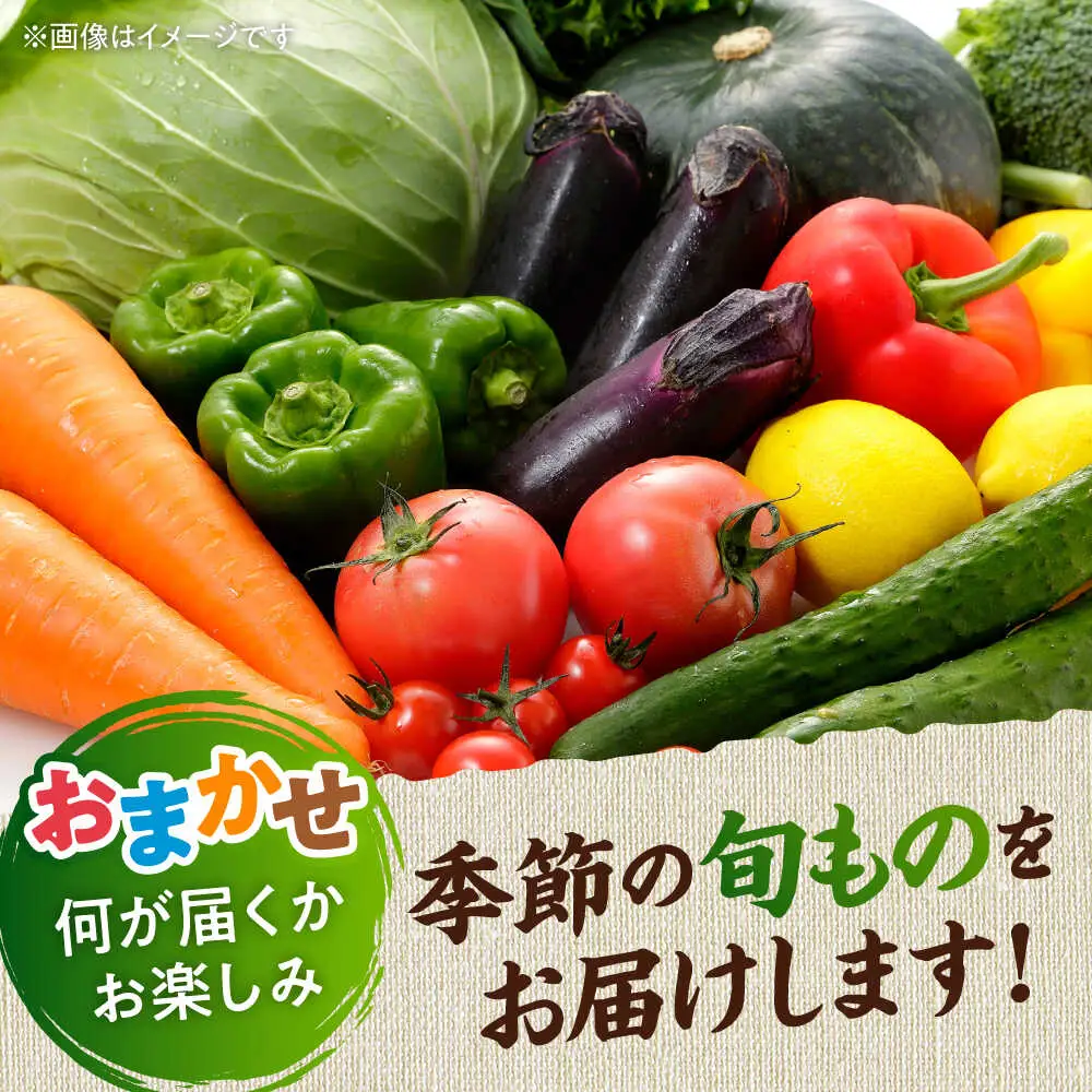 【全3回定期便】旬な野菜おまかせ詰め合わせセット 野菜 [AYCA003]