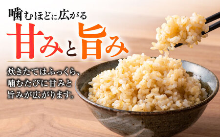 【令和7年度】 【全3回定期便】 くまさんの輝き 玄米 10kg 計30kg 玄米[AYCC034]