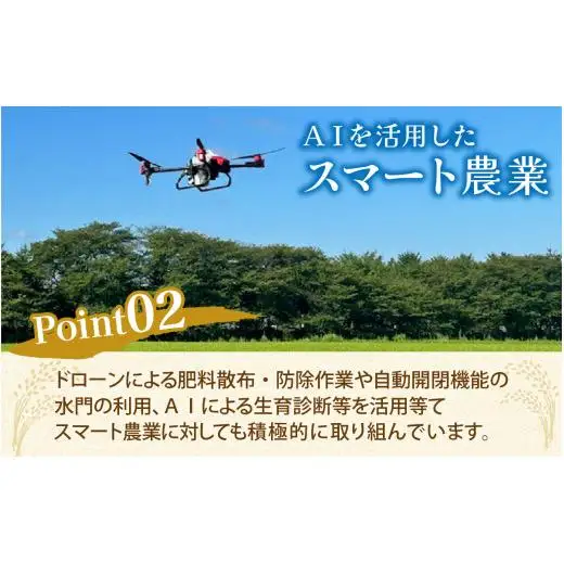 25年10月中旬以降順次発送 精米  5kg 富山県滑川産「てんこもり」与文のお米 / 産地直送 袋 ブランド米 お米 白米 ご飯 ごはん 富山 滑川市 アグリめぐみ [A-050004]