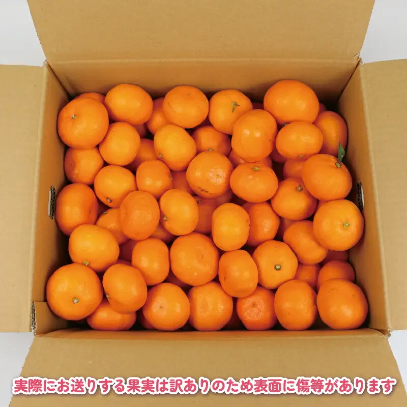 完熟みかん 訳あり 完熟 みかん 早生みかん 10kg 杉本屋 先行予約 完熟 温州みかん みかん ミカン mikan 早生 温州 蜜柑 みかん 果物 くだもの フルーツ 愛媛みかん 愛媛ミカン 愛媛蜜柑 宇和島みかん 訳アリ 柑橘 産地直送 数量限定 国産 愛媛 宇和島 B018-143019