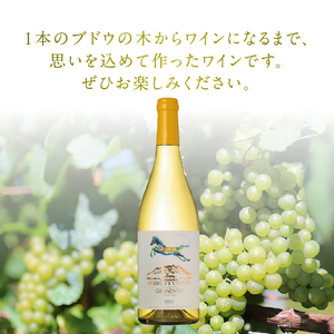 淡路結 シャルドネ 2023 1本 ワイン 白ワイン 淡路結 シャルドネ 2023 750ml1本 白 国産ワイン 山梨県産 北杜市産 白州圃場 柑橘フルーツ アカシア 蜂蜜 ブドウ 記念日 贈り物 プレゼント [h135]