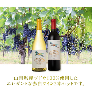 淡路結シャルドネ・花菱メルロー＆カベルネ 750ml×2本セット ワイン 赤白ワイン 2本 セット 淡路結シャルドネ 花菱メルロー＆カベルネ・ソーヴィニヨン 750ml×2本 city farm ブドウ100％ シャルドネ メルロー ブドウ 白 赤 ワイン エレガント 冷蔵 数量限定 国産 ギフト 記念日 山梨県 北杜市産 [h135]
