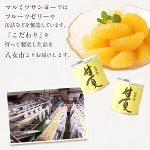缶詰 甘夏みかん缶詰（全粒）12缶入 007-029