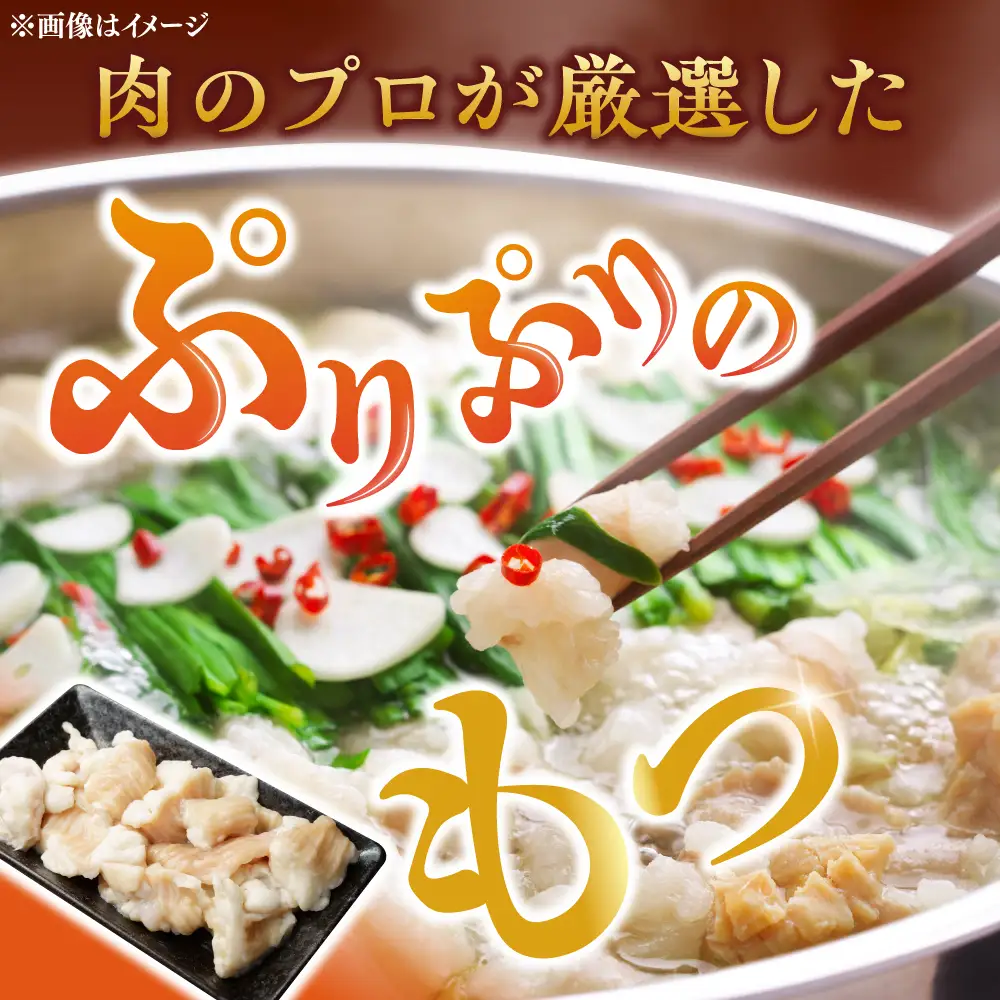 【ふるなびWEEK対象】【訳あり】博多味噌もつ鍋 10人前[BGAB006] 訳あり