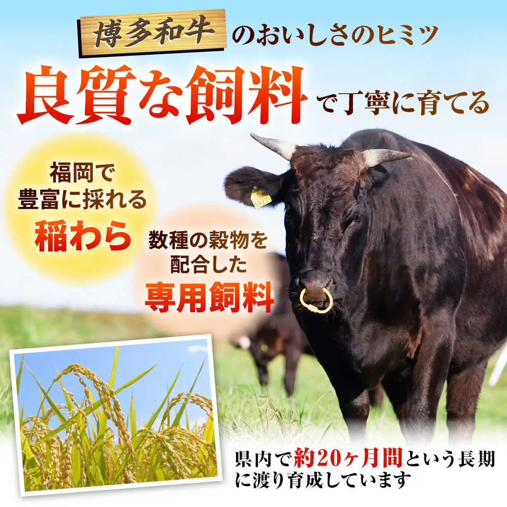 博多和牛 牛肉 ヒレ 150g×3枚 BGAB009 ヒレステーキ