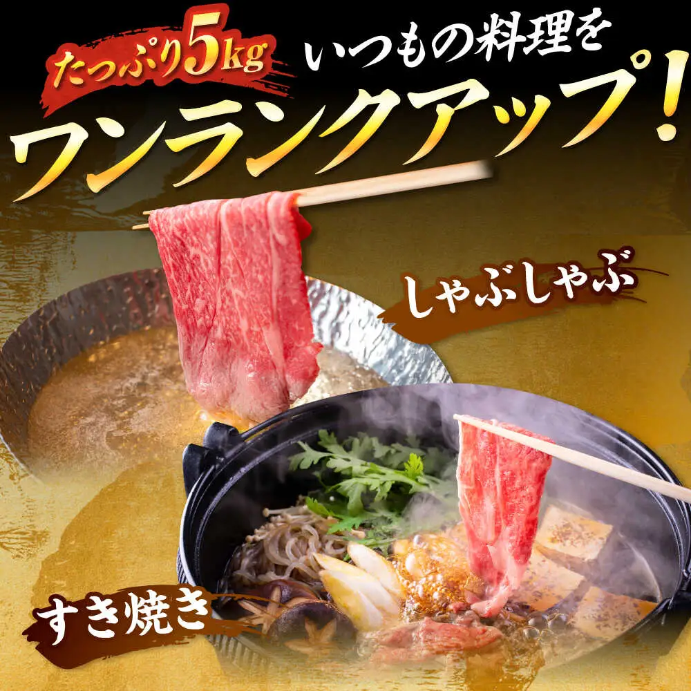 【訳あり】博多和牛スライス5kg [BGAB021]牛肉スライス 訳あり