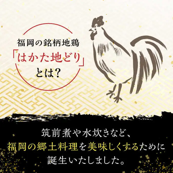 はかた地鶏 炭火焼セット 100g×5P[BGAB028] 地鶏 おつまみ