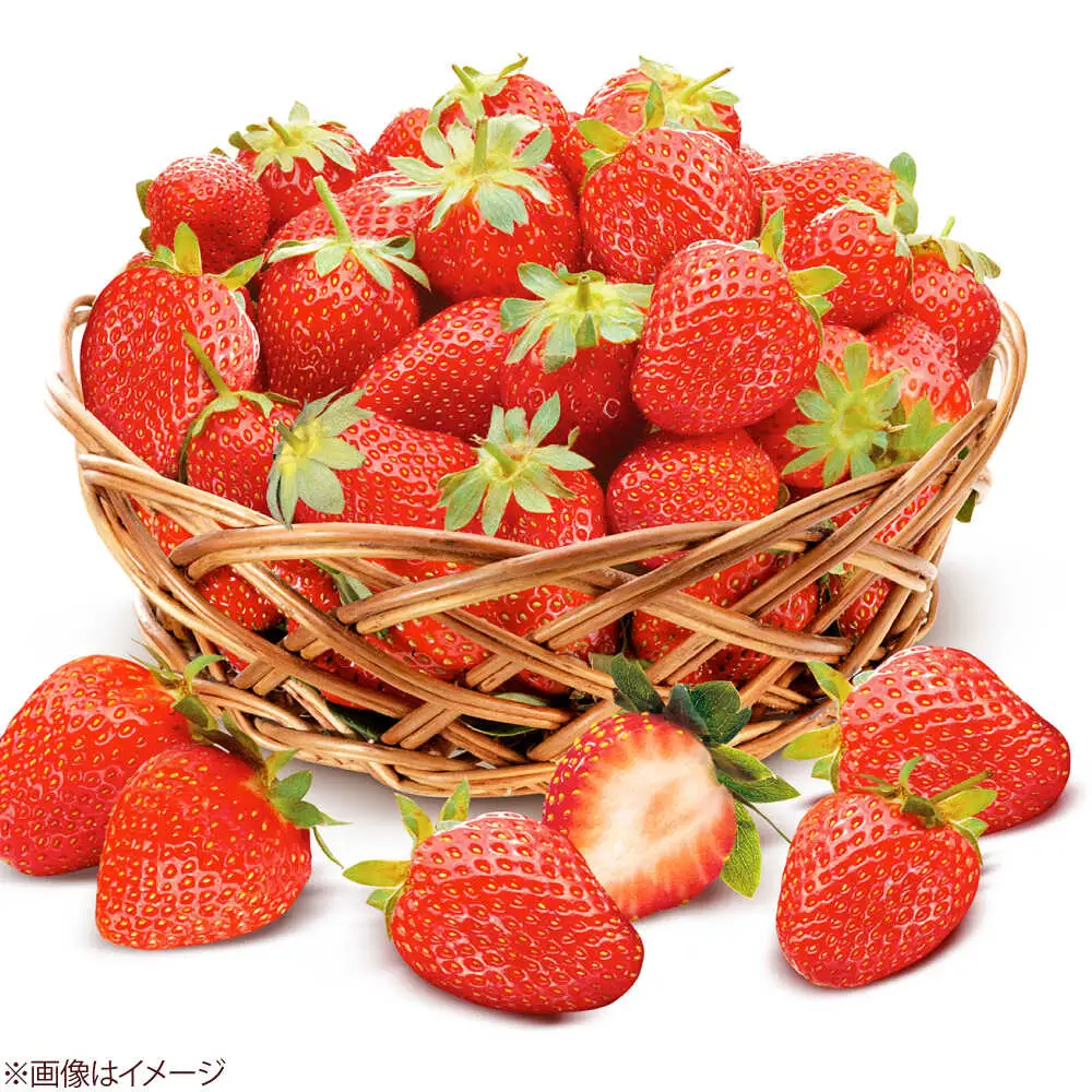 【化粧箱入】あまおう大福 50g×8個 [BGAE047] いちご大福 苺 スイーツ お菓子 手土産