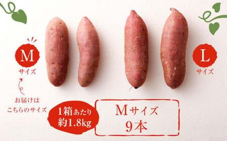 171-1132x2【先行予約】 高糖度さつまいも 甘太くん 約1.8kg（Mサイズ9本） 小箱 サツマイモ 甘藷 かんしょ おやつ 焼き芋 【2026年12月上旬から2027年4月下旬発送予定】