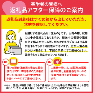 【2026年産】東根秋果実満喫セットサンふじ&ラフ&シャイン フルーツ