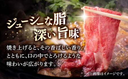 牛肉 A5等級 飛騨牛 切り落とし 500g [ANGY011] 牛肉