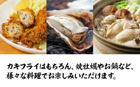 【先行予約】訳あり 殻付き 生牡蠣 3kg 加熱用 軍手・牡蠣ナイフ付 牡蠣 カキ かき 生 殻付牡蠣 フライ 鍋 バーベキュー BBQ 海鮮 魚介 魚貝 貝 魚介類 新鮮 渥美半島 田原市 愛知県 国産 海産物 オイスター 海の ミルク 軍手 牡蠣 ナイフ 付 冬 - 春