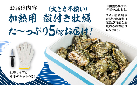 【先行予約】訳あり 殻付き 生牡蠣 5kg 加熱用 軍手・牡蠣ナイフ付 牡蠣 カキ かき 生 殻付牡蠣 フライ 鍋 バーベキュー BBQ 海鮮 魚介 魚貝 貝 魚介類 新鮮 渥美半島 田原市 愛知県 国産 海産物 オイスター 海の ミルク 軍手 牡蠣 ナイフ 付 冬 - 春