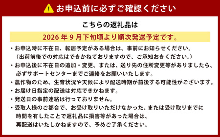 ［先行受付］北海道十勝産 ブロッコリー5玉セット【B19】 2026年9月下旬頃より順次発送予定