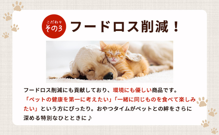 ＜CalWan（カルワン）真鯛と3種の野菜スティック 60g×3本セット＞ ペットおやつ 手作り 愛媛県産 SDGs 人も食べれる 栄養満点 養殖真鯛 フードロス スティックタイプ おやつ ひと休み 株式会社SakuSaku 愛媛県 西予市 【常温】『1か月以内に順次出荷予定』USA0009