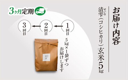 ＜3ヶ月定期便＞＜令和7年産＞ 京都夜久野産 清雫(せいな) コシヒカリ 玄米 (5kg×3回) ふるさと納税 福知山市 令和7年度産 先行 定期便 選べる 容量 回数 玄米 夜久野 京都 【fc-DB005-B03】【合同会社夜久野清雫】