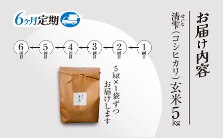 ＜6ヶ月定期便＞＜令和7年産＞ 京都夜久野産 清雫(せいな) コシヒカリ 玄米 (5kg×6回) ふるさと納税 福知山市 令和7年度産 先行 定期便 選べる 容量 回数 玄米 夜久野 京都 【fc-DB005-B06】【合同会社夜久野清雫】