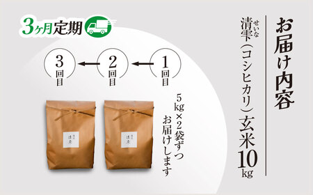 ＜3ヶ月定期便＞＜令和7年産＞ 京都夜久野産 清雫(せいな) コシヒカリ 玄米 (10kg×3回) ふるさと納税 福知山市 令和7年度産 先行 定期便 選べる 容量 回数 玄米 夜久野 京都 【fc-DB005-C03】【合同会社夜久野清雫】