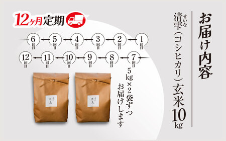 ＜12ヶ月定期便＞＜令和7年産＞ 京都夜久野産 清雫(せいな) コシヒカリ 玄米 (10kg×12回) ふるさと納税 福知山市 令和7年度産 先行 定期便 選べる 容量 回数 玄米 夜久野 京都 【fc-DB005-C12】【合同会社夜久野清雫】