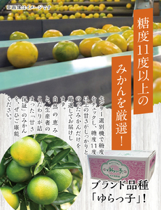 【糖度11度以上!】ゆら早生みかん「ゆらっ子」5kg ※2026年10月上旬～10月下旬頃に順次発送予定(お届け日指定不可) / 極早生 早生 由良町 和歌山県 柑橘 密柑 完熟 甘い ミカン 光センサー 柑橘 果実 くだもの フルーツ ブ JA認定ブランド品 糖度11度  先行予約【jahd003-r-5】