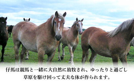 国産馬刺しと ユッケ 計約310g ユッケ BHAD001 