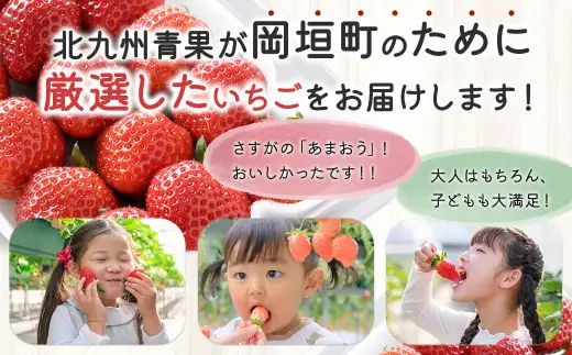 福岡県産 博多あまおう 約1.12kg（約280g×4パック入り） いちご 苺 【2027年1月下旬～3月下旬発送予定】