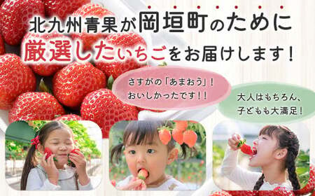 福岡県産 博多あまおう約560g（約280g×2パック入り） いちご 苺 イチゴ フルーツ 果物 くだもの  【2027年1月下旬～3月下旬発送予定】