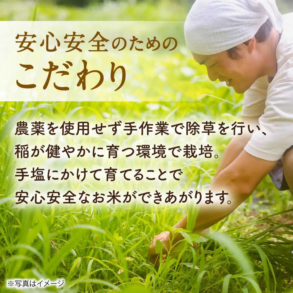 【令和7年度米】4kg・放し飼いたまご20個セット ヒノヒカリれんげ米 元気たまご【浅田峠自然塾】[EA19]