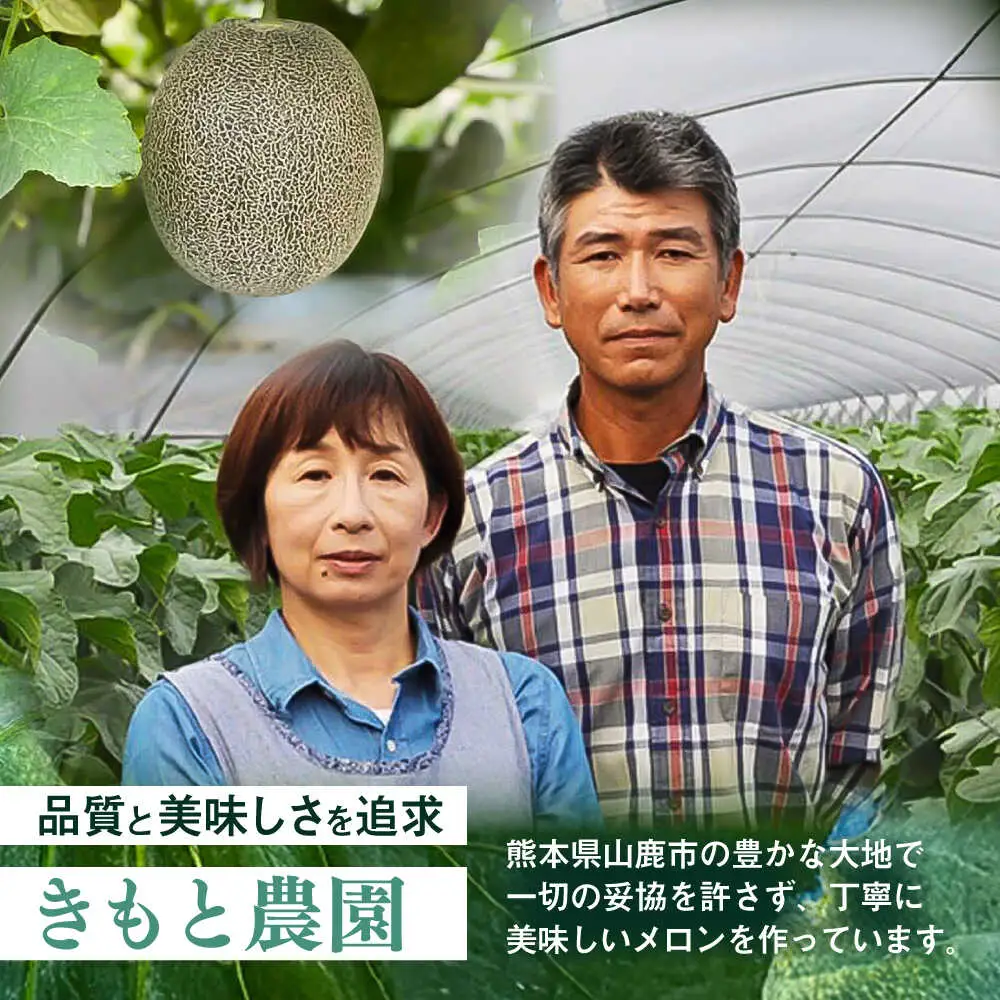 【先行予約】  山鹿の恵み! 匠の育てた　肥後グリーン メロン 約4kg以上（約2kg以上×2玉）【きもと農園】[ZFQ001]