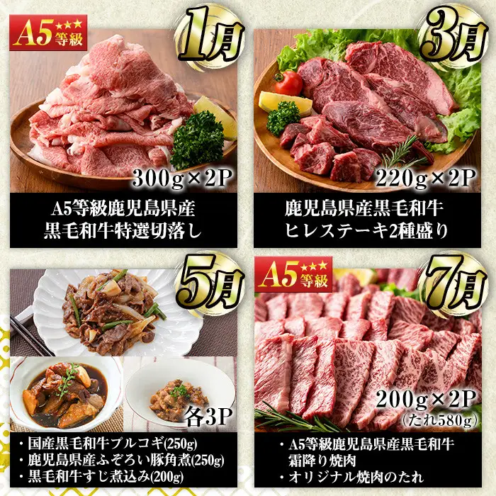No.1246 ＜定期便・全6回(奇数月)＞お楽しみ！大人気の返礼品定期便 お試しコース(総重量5kg以上・ステーキ、霜降り焼肉、ローストビーフ等) 牛肉 黒毛和牛 和牛 ステーキ すき焼き しゃぶしゃぶ 焼肉 BBQ キャンプ 定期便 頒布会 A5 冷凍 ギフト 贈答【LRプラスK】