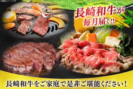 牛肉 和牛 定期便 長崎和牛 バラエティ 12回