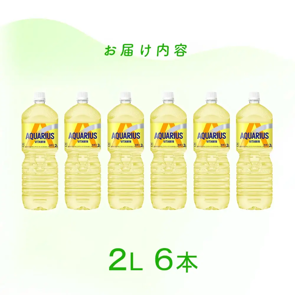 【6か月連続お届け】アクエリアス ビタミン　2L PET×6本　【04301-0681】