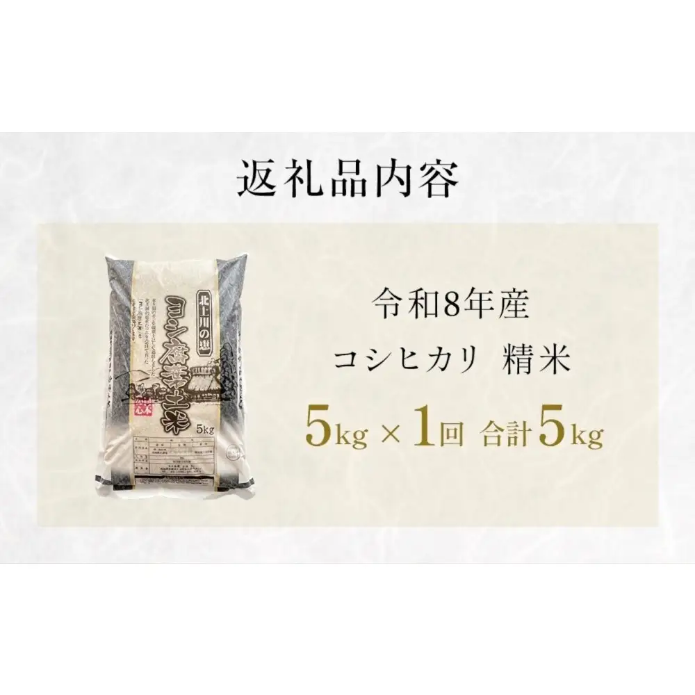 米 令和8年産 コシヒカリ 精米 5kg 単品  こめ コメ お米 ご飯 白米 こしひかり