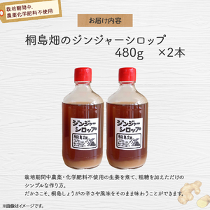 栽培期間農薬・化学肥料不使用の生姜で作った「桐島畑のジンジャーシロップ」480g×2本　Fkh-A05 　／生姜 しょうが 生姜シロップ 無農薬 ジンジャエール おすすめ