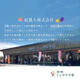 【先行予約】和歌山県産温州みかん約5kg（約40個～60個）秀品　2026年11月初旬頃から2026年12月中旬頃順次発送予定【kgr032A】