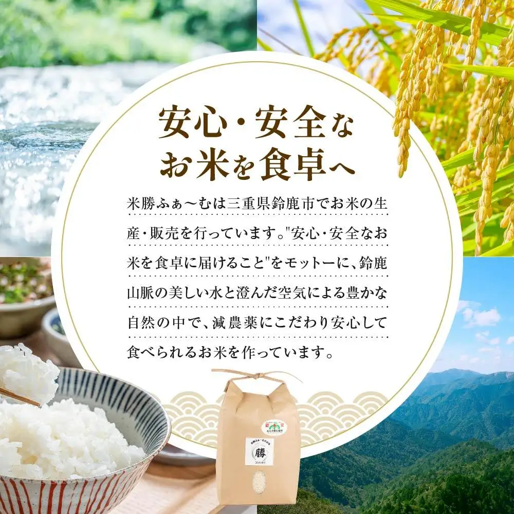 令和7年産三重県減農薬コシヒカリ 4キロ（2キロ×2) ／ 米  精米 お米 人気 