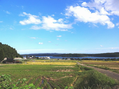 令和7年産 （数量限定）こしひかり 能登の心米（精米20kg/10kg×2袋） | 米