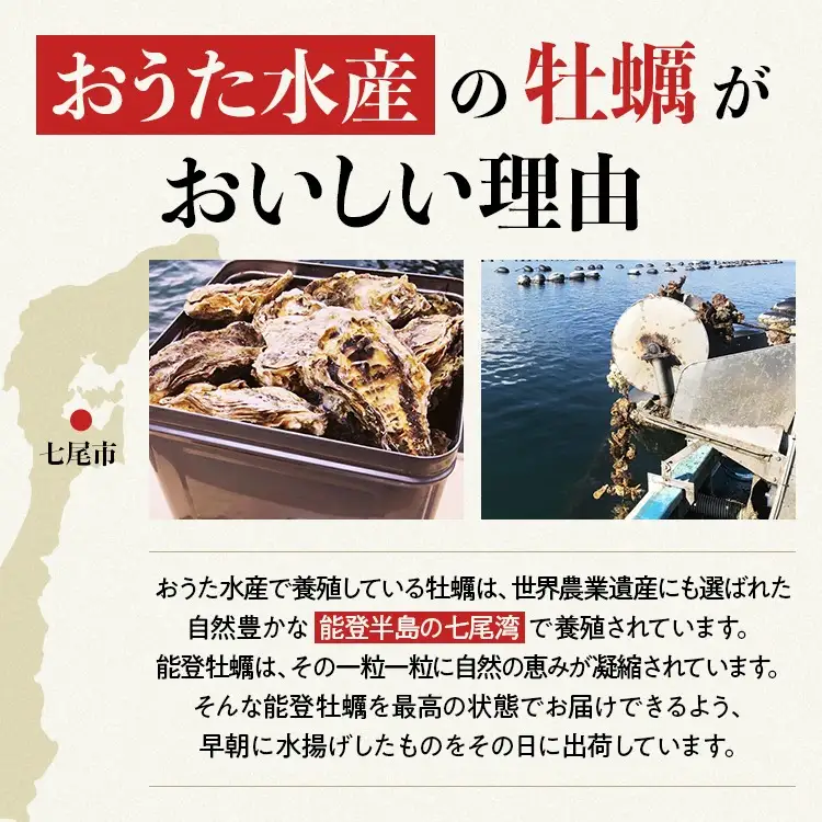 【能登半島地震復興支援】【発送時期が選べる】魚介類 牡蠣 / 能登かき 殻付牡蠣 半缶/約5kg（約40～50個） 専用ナイフ 片手用軍手付 ※要加熱 ※2027年1月下旬～5月下旬頃に順次発送予定 ｜ 牡蠣 殻付き