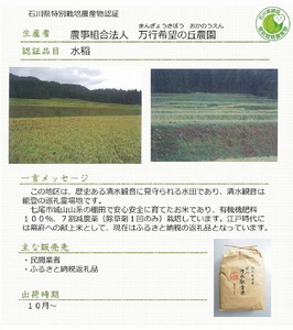 清水観音米こしひかり （特別栽培米7kg）｜ 精米 特別栽培米指定 石川県 七尾市 能登 ※2024年12月上旬頃より順次発送予定