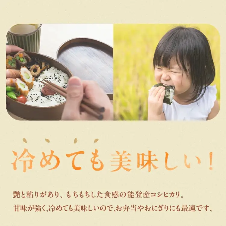 令和7年産 等伯米こしひかり10kg(5kg×2袋) | 米 ※2026年6月～発送