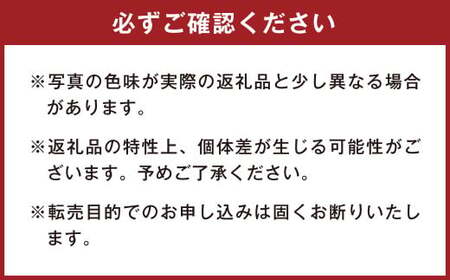 166-1299 ともだちはくま ぬいぐるみ（おかしながっこう） 1点 キャラクター さいきたむむ 限定 グッズ 動物 クマ 熊 豊後大野市