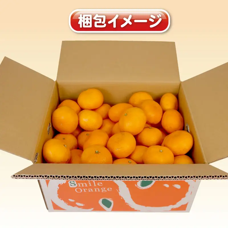 【11/20～12/20発送予定】 みかん 訳あり 完熟 大玉みかん 10kg 杉本屋 B010-143017