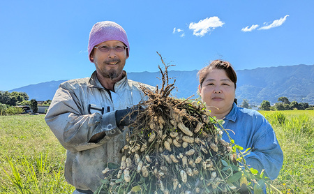 落花生 福岡県産 生落花生 おおまさり 1.2kg  ※配送不可:離島
