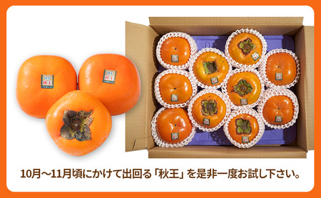 柿 福岡限定! ブランド柿「秋王(あきおう)」約1.5kg(4-6玉) かき フルーツ 果物 ※配送不可:離島