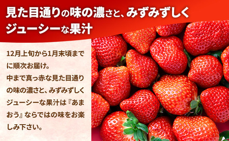 【冬】福岡産あまおう2パック いちご  苺 イチゴ フルーツ 果物 ※配送不可:離島
