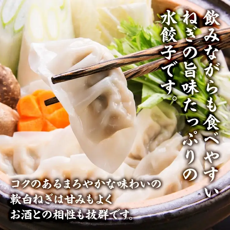 【食感と昆布だしにこだわり】 お酒によく合う軟白ねぎ水餃子 48個(12個×4箱) ※2026年12月～発送