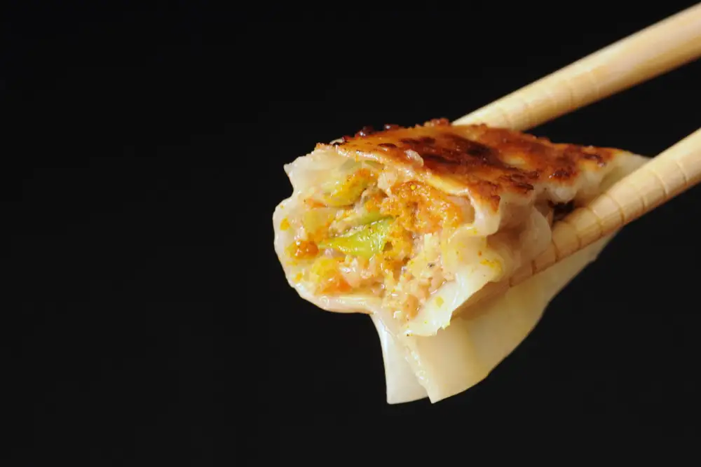 【食感と昆布だしにこだわり】 お酒によく合う餃子2種セット40個(野菜餃子1箱10個×2箱・スパイシーカレー餃子1箱10個×2箱) | 食べ比べ 詰め合わせ カレー餃子 野菜餃子 冷凍餃子 おつまみ グルメ お取り寄せ